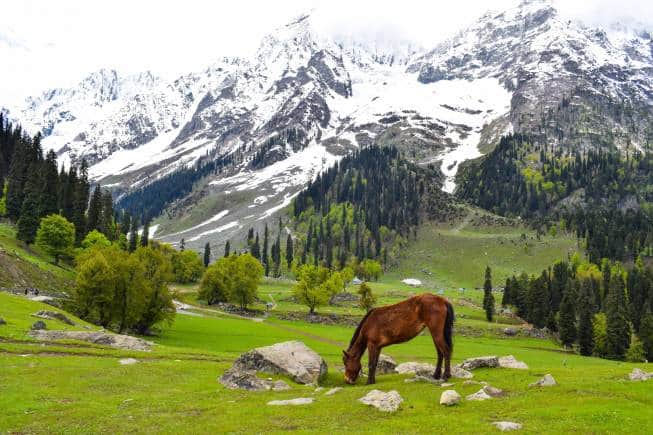 Sonamarg. (Photo: Praneet Kumar via Unsplash)