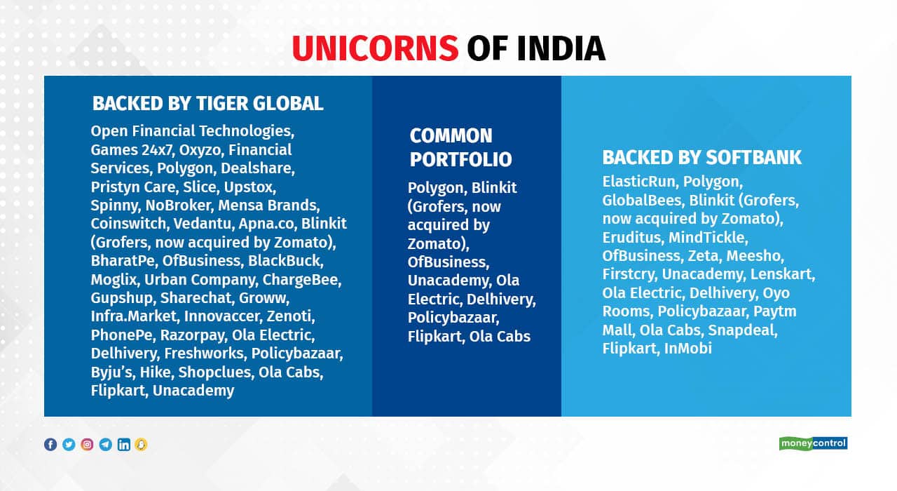 unicorns TGM and SFB13