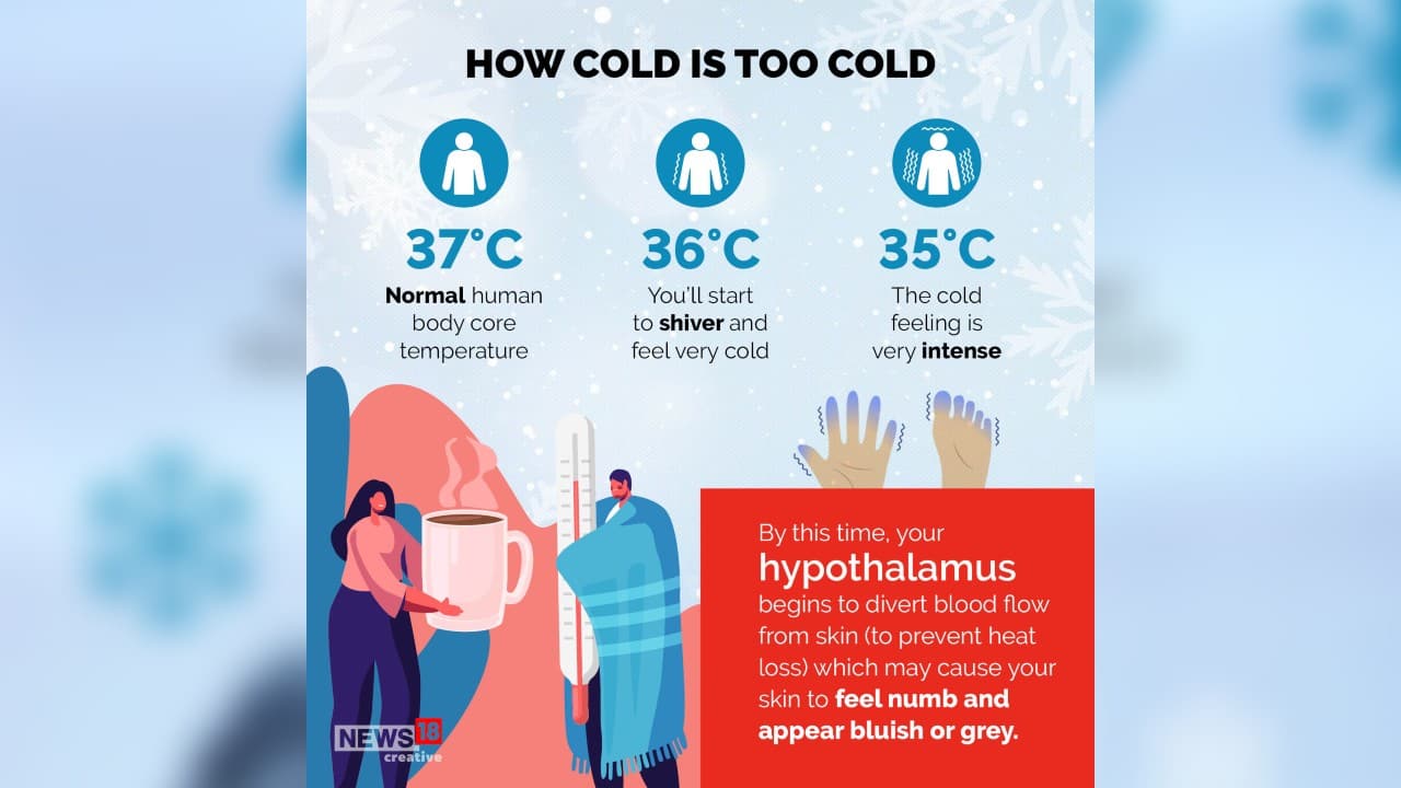Why do we feel cold in winter and how our body protects itself from the ...