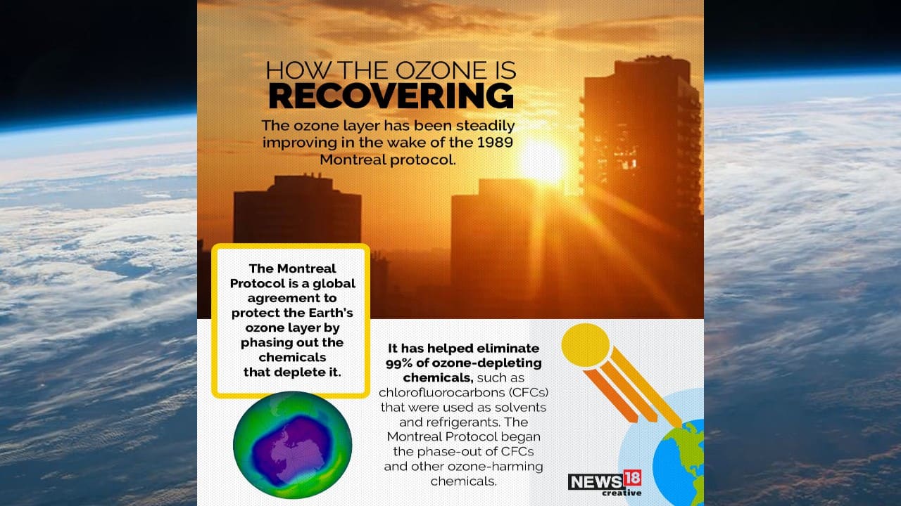 The ozone layer has been steadily improving in the wake of the 1989 Montreal protocol, a global agreement to protect the Earth’s ozone layer by phasing out the chemicals that deplete it. (Image: News18 Creative) The ozone layer has been steadily improving in the wake of the 1989 Montreal protocol, a global agreement to protect the Earth’s ozone layer by phasing out the chemicals that deplete it. (Image: News18 Creative)