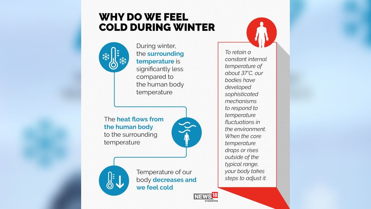 Why do we feel cold in winter and how our body protects itself from the