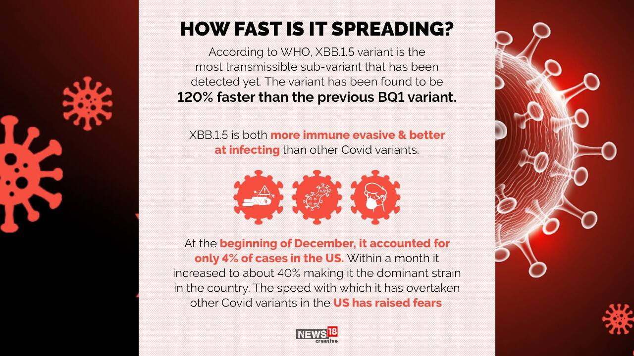 According to World Health Organisation (WHO), XBB.1.5 variant is the most transmissible sub-variant that has been detected yet. The variant has been found to be 120 percent faster than the previous BQ1 variant. (Image: News18 Creative)