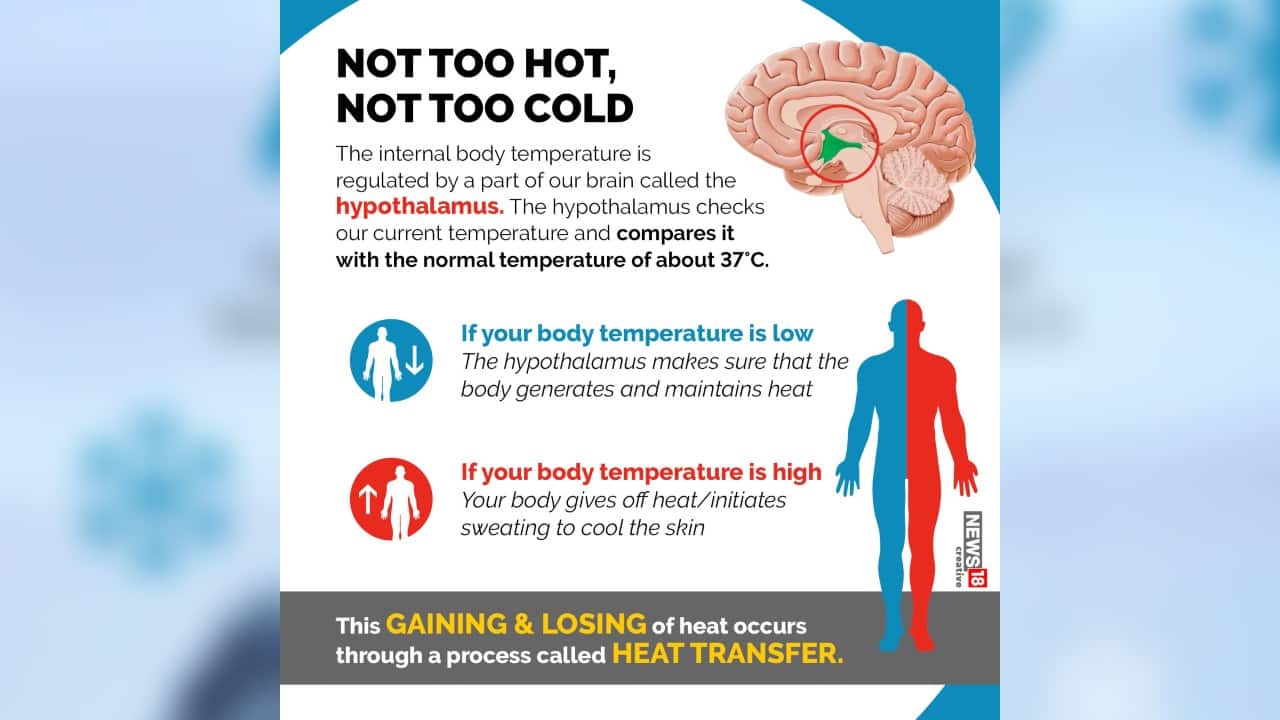 Why do we feel cold in winter and how our body protects itself from the