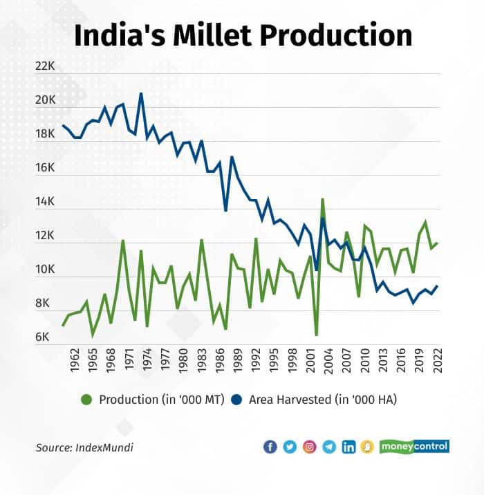 6. Millet 1