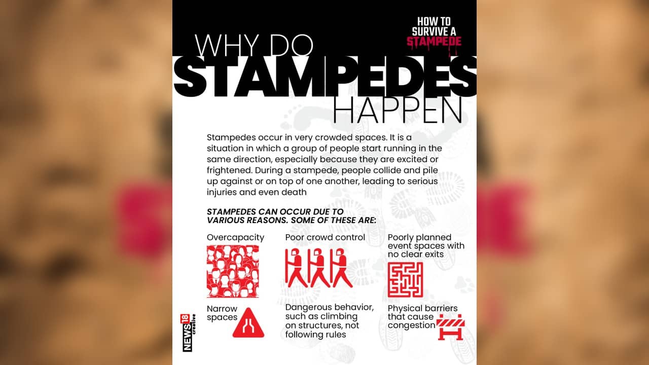 Stampedes occur in very crowded spaces. It is a situation in which a group of people start running in the same direction, especially because they are excited or frightened. (Image: News18 Creative)