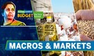Budget 2023 | Edible Oil And Wheat Producers' Key Expectations From FM Sitharaman | Macros & Markets