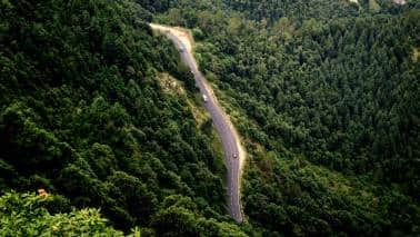 Forest Bill — Missing the forest for the trees?