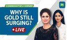 Commodities LIVE: India Gold prices at all-time high; What's driving the gains?