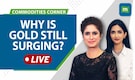 Commodities LIVE: India Gold prices at all-time high; What's driving the gains? Commodities LIVE: India Gold prices at all-time high; What's driving the gains?