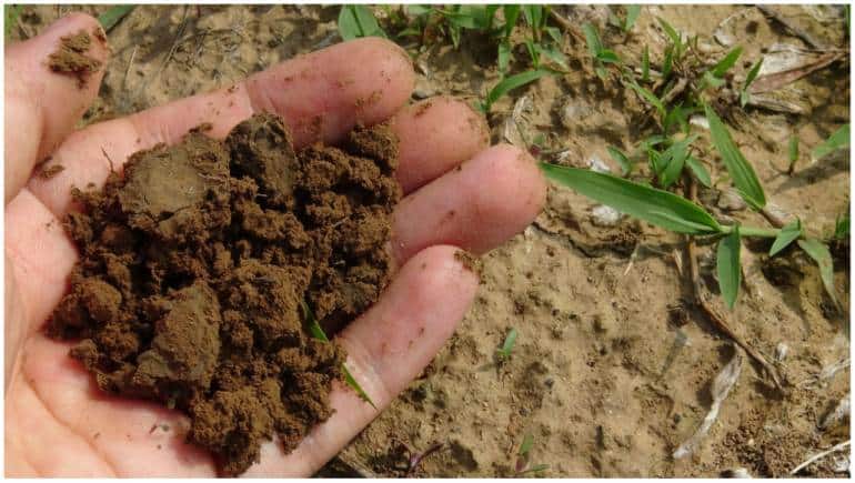 Soil erosion in Western Ghats increased 94% between 1990 to 2020: IIT study - Vimarsana News