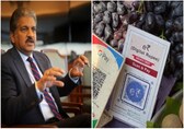 Anand Mahindra learns of e-rupee from RBI meeting, uses it to buy fruit. Watch