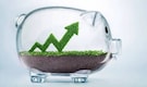 Retirement oriented mutual funds love these 15 small cap multibaggers Retirement oriented mutual funds love these 15 small cap multibaggers
