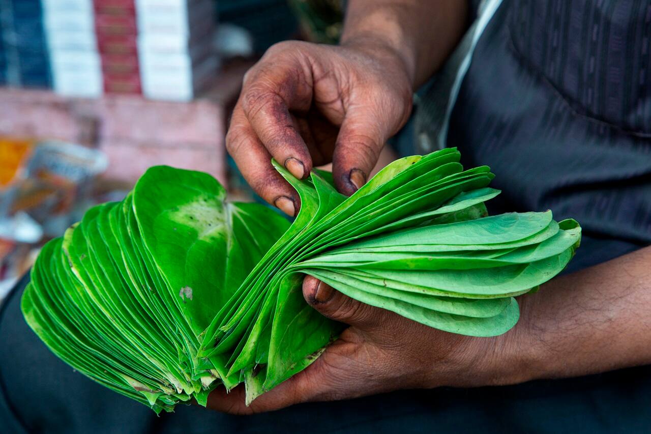 18% GST on air freight leaves bad taste in the mouths of Indian betel leaf exporters 18% GST on air freight leaves bad taste in the mouths of Indian betel leaf exporters
