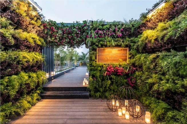 Green walls are appealing to the eyes and good for our souls (Photo courtesy Studio Design Inc)