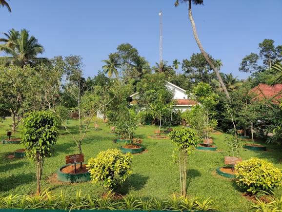 Dhanwantari herbal garden at Amal Tamara. (Photo: Kalpana Sunder)