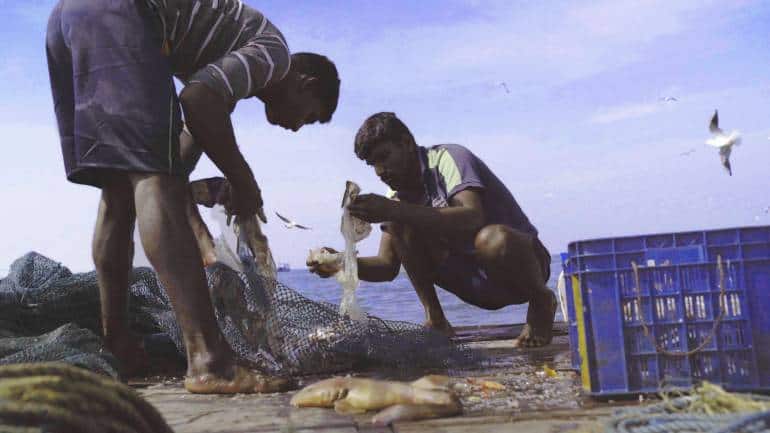Koli fisherman Rakesh (right) checking his catch, in a still from 'Against the Tide', directed by Sarvnik Kaur. (Image courtesy of Snooker Club Films)