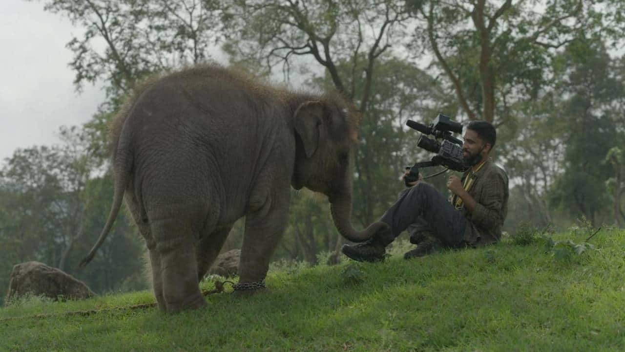Who's the Oscar winner The Elephant Whisperer's co-cinematographer who's at the Academy Awards second year in a row?