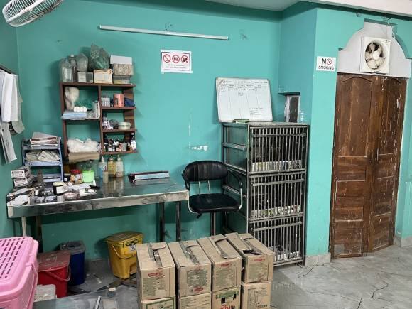 The bird hospital is hoping the release of 'All That Breathes' in India next month will bring them enough support to upgrade treatment and equipment to rescue more black kites. (Photo: Faizal Khan)