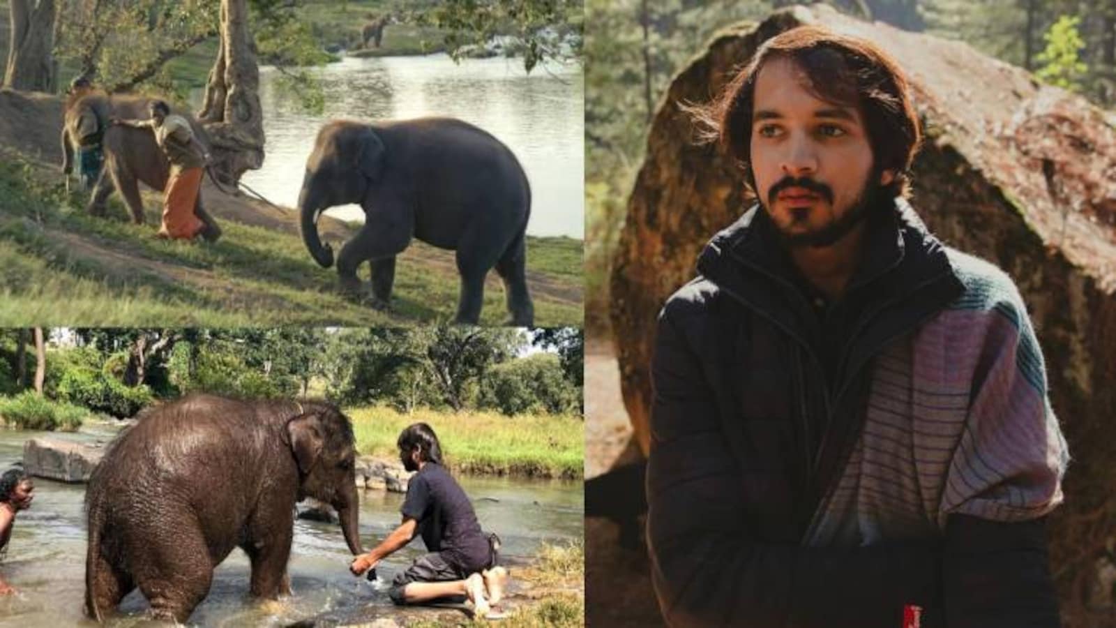 Oscar-nominated documentary The Elephant Whisperers is cuteness unlimited