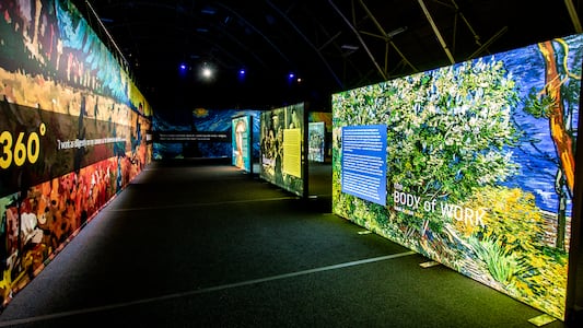 The exhibition has already toured cities like London, New York and Tokyo. (Image courtesy Van Gogh 360°)