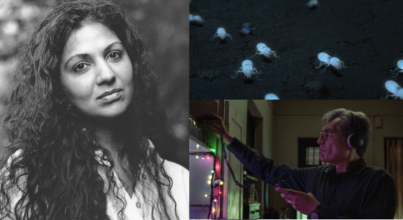 Sundance 2023: Home is where the hesitance is, for 'White Ant' director Shalini Adnani Sundance 2023: Home is where the hesitance is, for 'White Ant' director Shalini Adnani