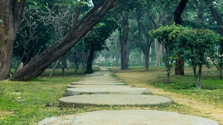 A path at Lodhi Garden in Delhi. (Photo: Devesh Sangwan via Unsplash)