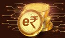How to make an e-rupee transaction