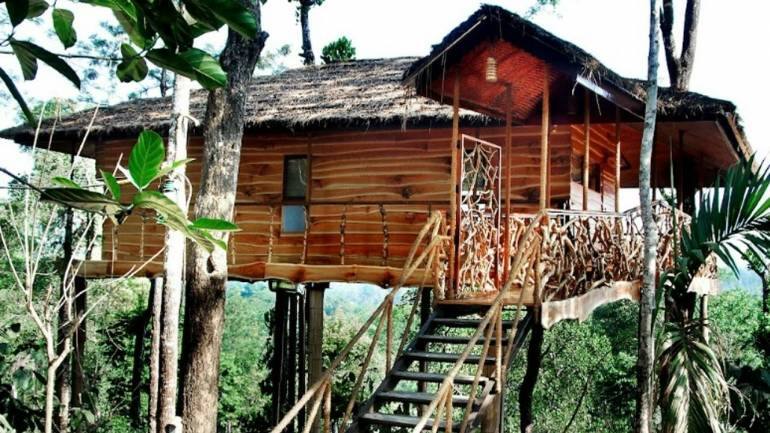 A farm tree-villa in Tranquil Resorts, Wayanad, Kerala. 