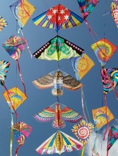 Makar Sankranti 2023: Ahmedabad's Kite Museum takes you back in time