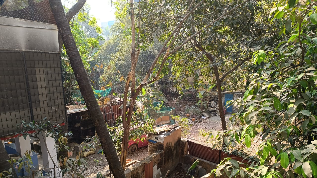 There are ton of different camera features, like the ability to take a full 200 MP shot, a Long Exposure mode, a Short Video feature, and more. Additionally, the selfie camera takes decent selfies in daylight with accurate skin tones but visibly less detail.