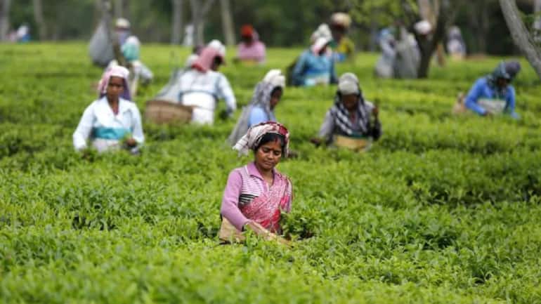 Strengthen Assam's trade competitiveness to transform NER - Vimarsana News