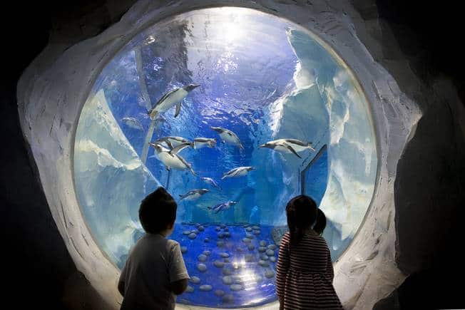 The National SEA LIFE Centre, Birmingham, the UK. (Photo: Wikimedia Commons)