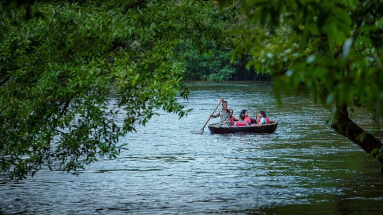 Amrit Dharohar scheme | Amrit Dharohar scheme to be implemented over the next three years to encourage optimal use of wetlands, enhance bio-diversity, carbon stock, eco-tourism opportunities and income generation for local communities. (Representative Image: Shutterstock)
