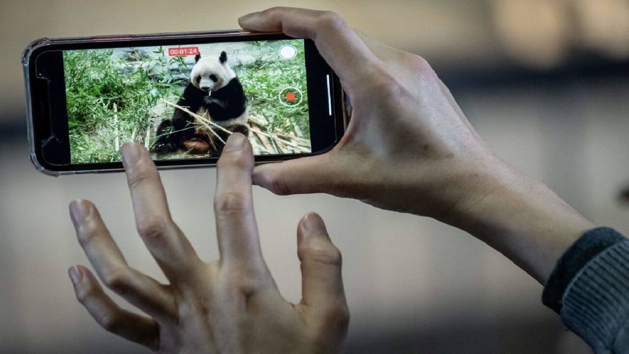 China considers ways to curb youths’ ‘excessive’ video use