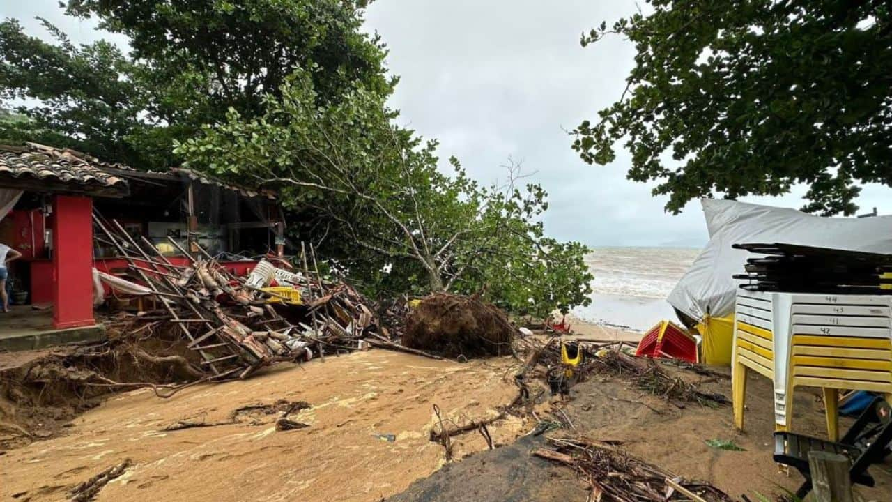 Brazil floods, landslides kill at least 36 people as cities cancel Carnival  - National