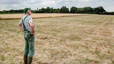 Extreme global weather can break UPL’s growth tempo 