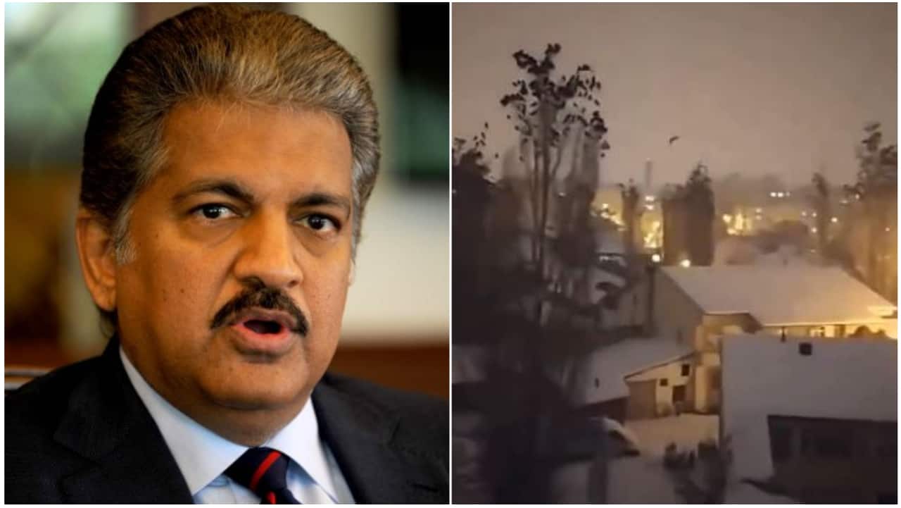 Watch: Chaotic bird behaviour moments before Turkey earthquake. 'Nature's alarm', says Anand Mahindra