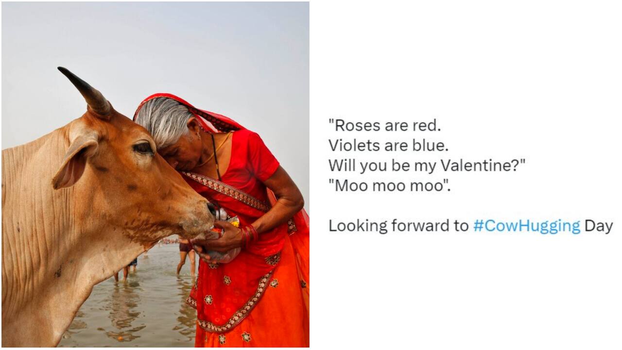 Valentine's Day or Cow Hug Day: Twitter users get ready for February 14 with memes