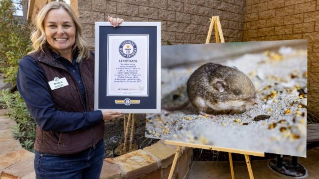  Debra from the San Diego Zoo Wildlife Alliance holding the Guinness World Record certificate of "Pat," a Pacific pocket mouse fondly named after actor Sir Patrick.