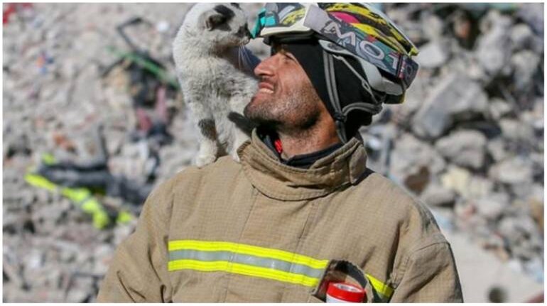 meet-rubble-the-cat-rescued-from-turkey-earthquake-ruins