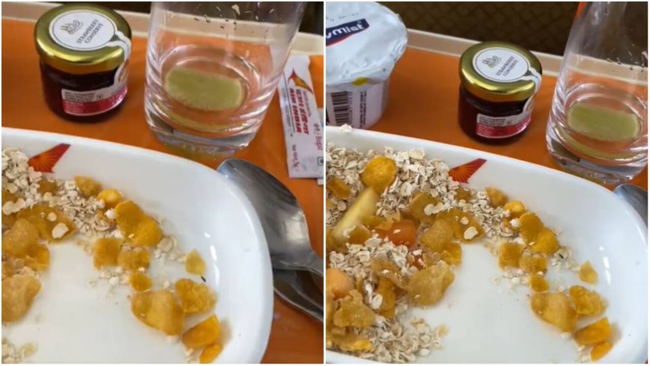 Passenger spots insect in Air India business class meal, shares video
