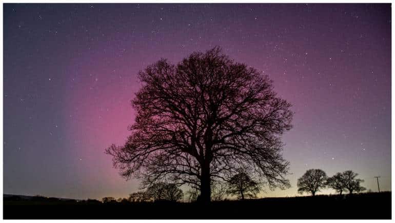 Pink Color Atnorth Spectacular Northern Lights paint the UK sky pink and green in rare ...
