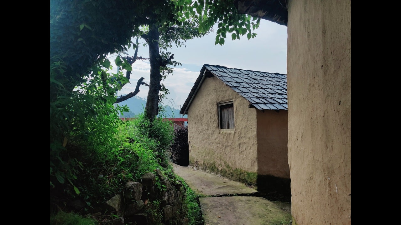 Beyond Palampur's tea estates, soaking in Himachal's nature, culture and food