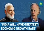 WATCH | 'India will do great' — American billionaire investor Ray Dalio bullish on Indian economy