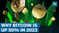 Why Bitcoin has shot up 50% since New Year's Day after crashing in 2022