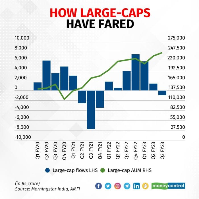 Large cap 1302