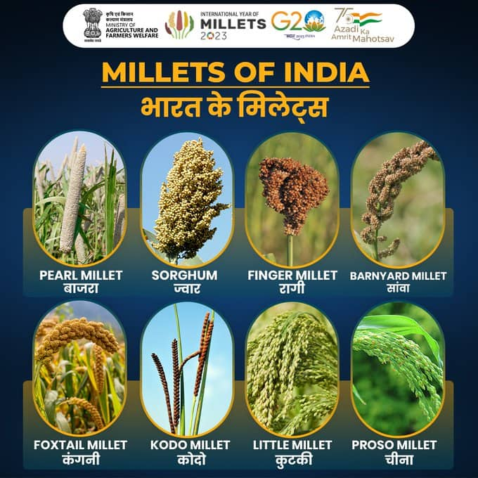 The Whole Truth Are Millets Really Good For You