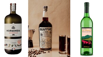 New agave-based mezcal drinks, liqueurs, gins, and rums to try as 2023 unfurls.