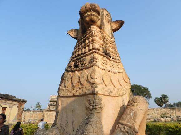 Nandi in Brihadisvara temple, Gangaikonda Cholapuram. (Photo: Bindu Gopal Rao)