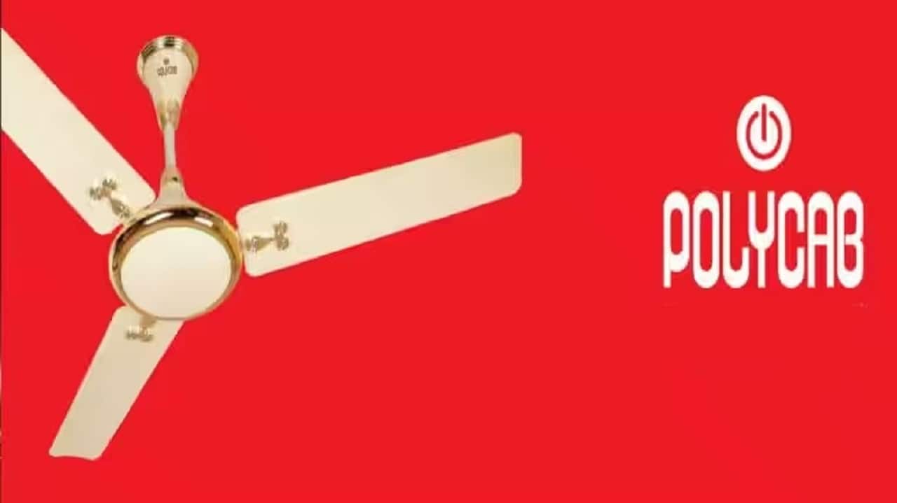 Polycab India No. of new PMS strategies that added this stock: 6 No. of PMS strategies that already hold the stock: 33 No. of actively-managed mutual fund schemes that hold the stock: 78 